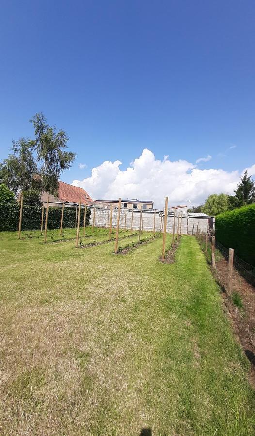Vakantiehuis 'T Wijngaardje Merkem Bagian luar foto